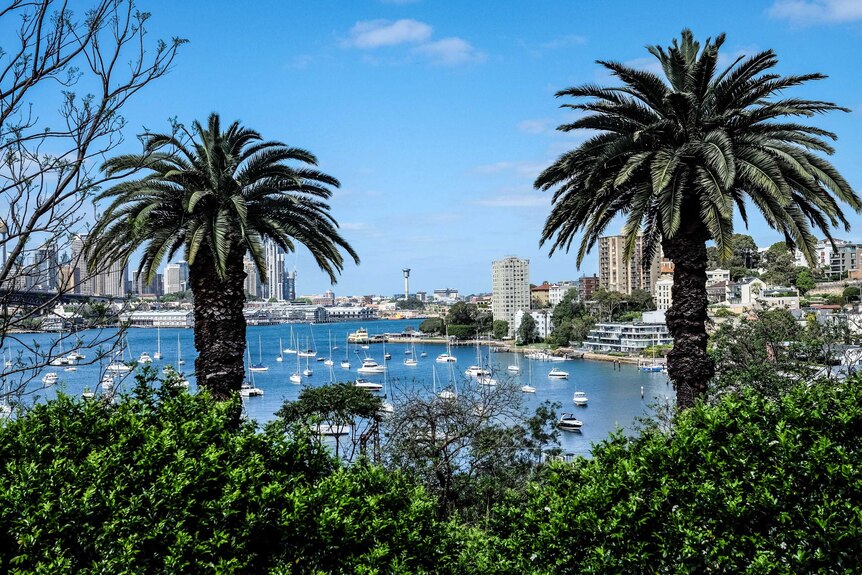 View of Sydney Harbour from Wendy Whiteley's garden