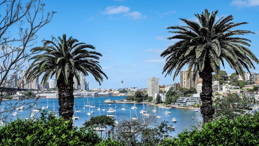 View of Sydney Harbour from Wendy Whiteley's garden