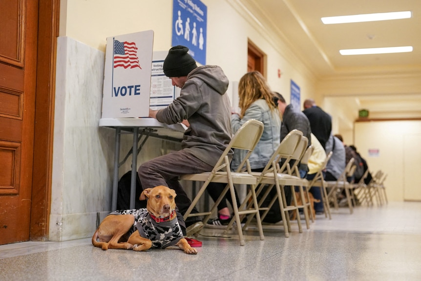 A dog sitting on the ground in a voting centre waits for his owner to complete a ballot paper. He is sitting behind him.