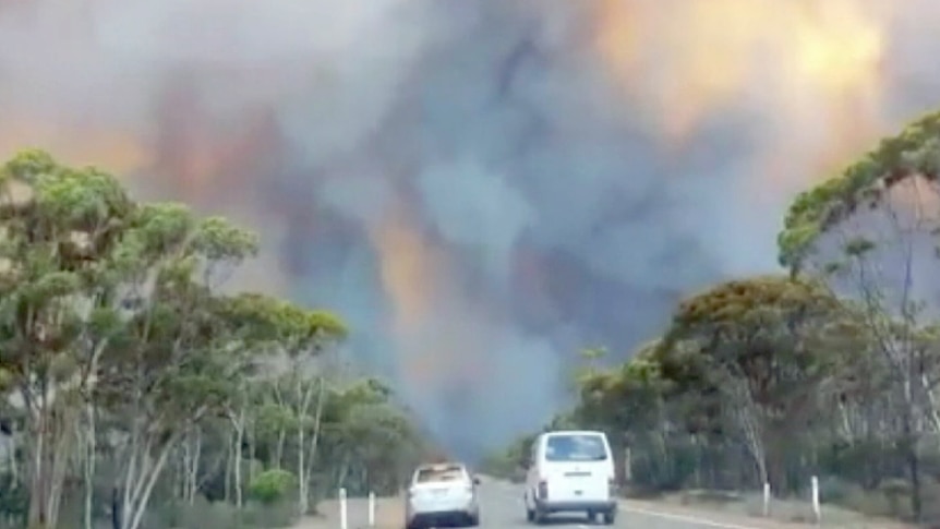 Esperance bushfires: Lives and property lost to flames