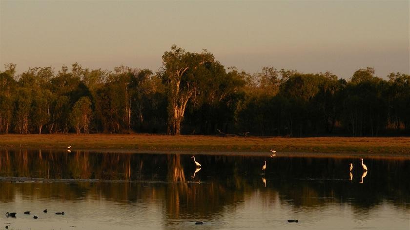 The new ad shows some of the Northern Territory's wildlife and famous national parks. [File image].