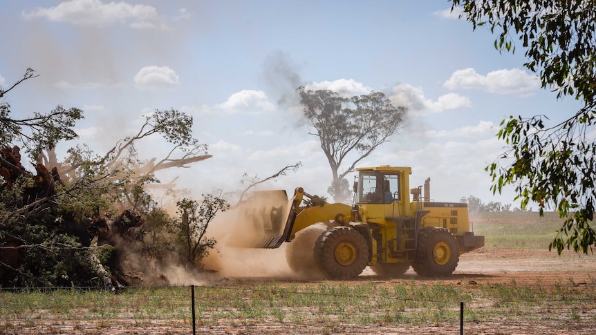A bulldozer pushes up a tree