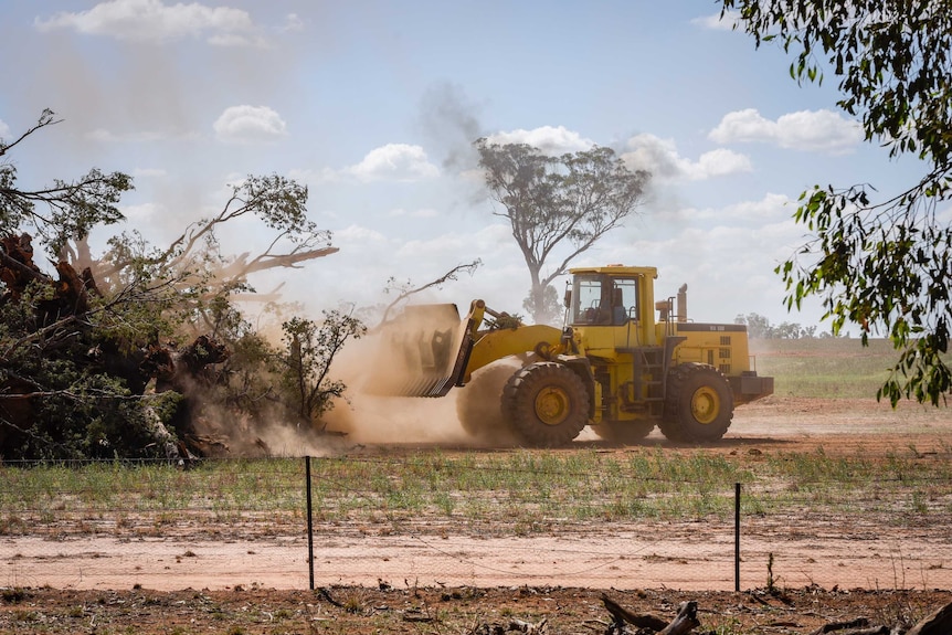 A bulldozer pushes up a tree