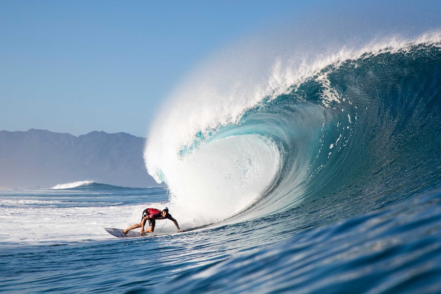 person surfing a wave