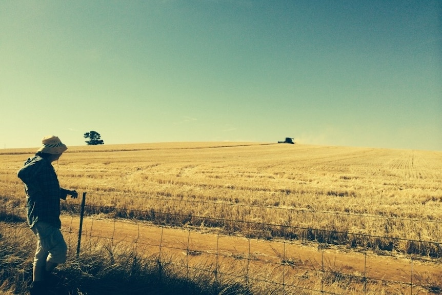 Lynette LaBlack farmer and anti solar campaigner