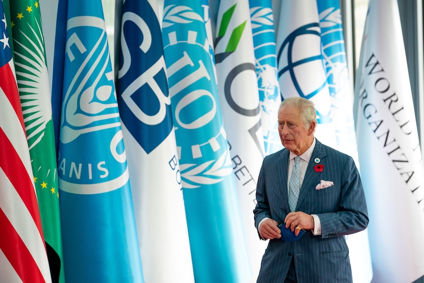 Prince Charles walks past a wall of flags as he attends the G20 Summit in Rome.