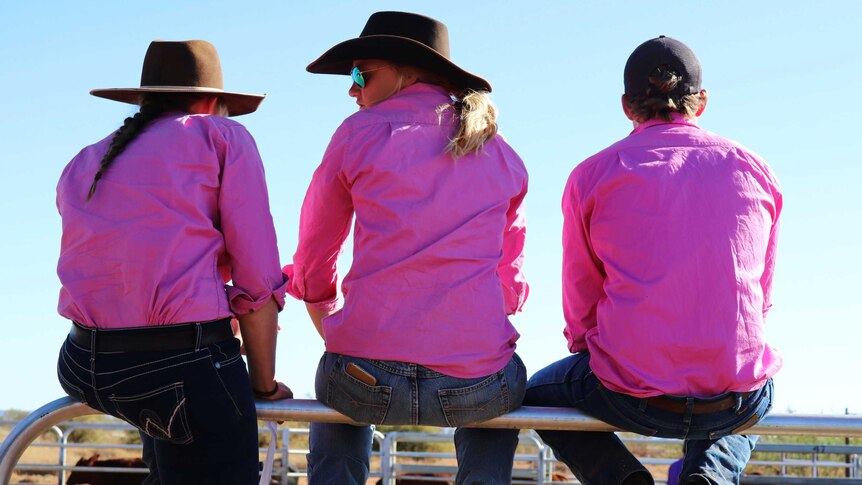 Station workers wearing bright pink shirts sit on a fence watching the Pilbara Livestock Handling Cup