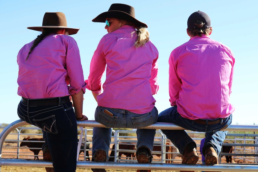 Station workers wearing bright pink shirts sit on a fence watching the Pilbara Livestock Handling Cup