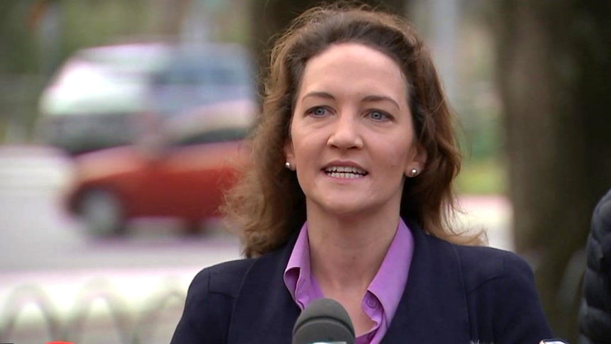 Georgina Downer will again seek preselection for the Adelaide Hills seat as early as tomorrow.