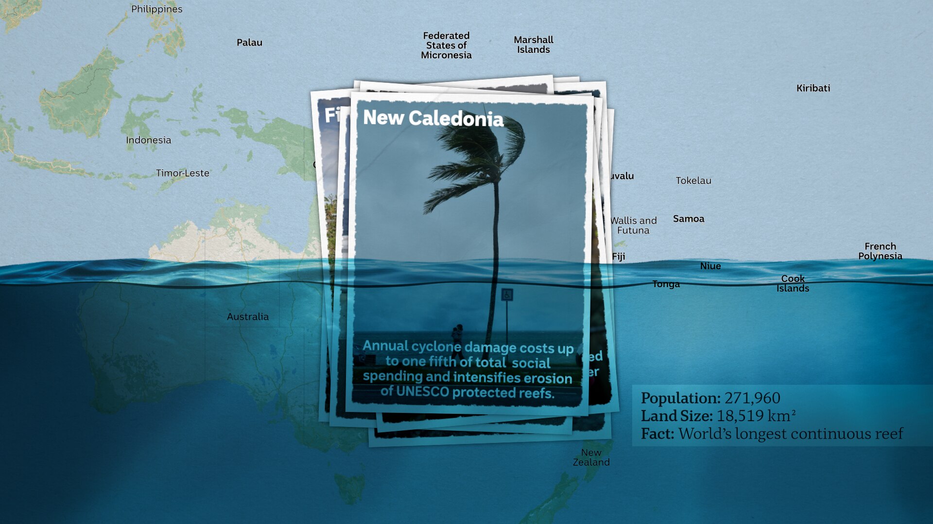 A postcard showing high speed winds blowing a palm tree in New Caledonia.