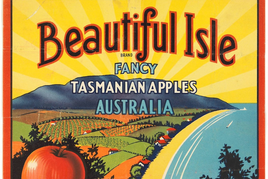 a colourful historic apple case label that says 'apple valley packing house cygnet tasmania'