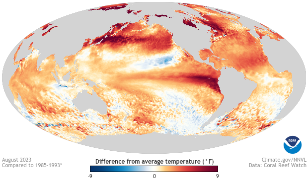 A map of SST anomaly's around the globe