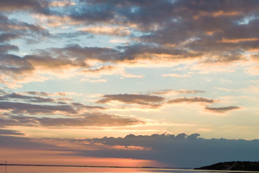 Pelicans soak up the sunrise