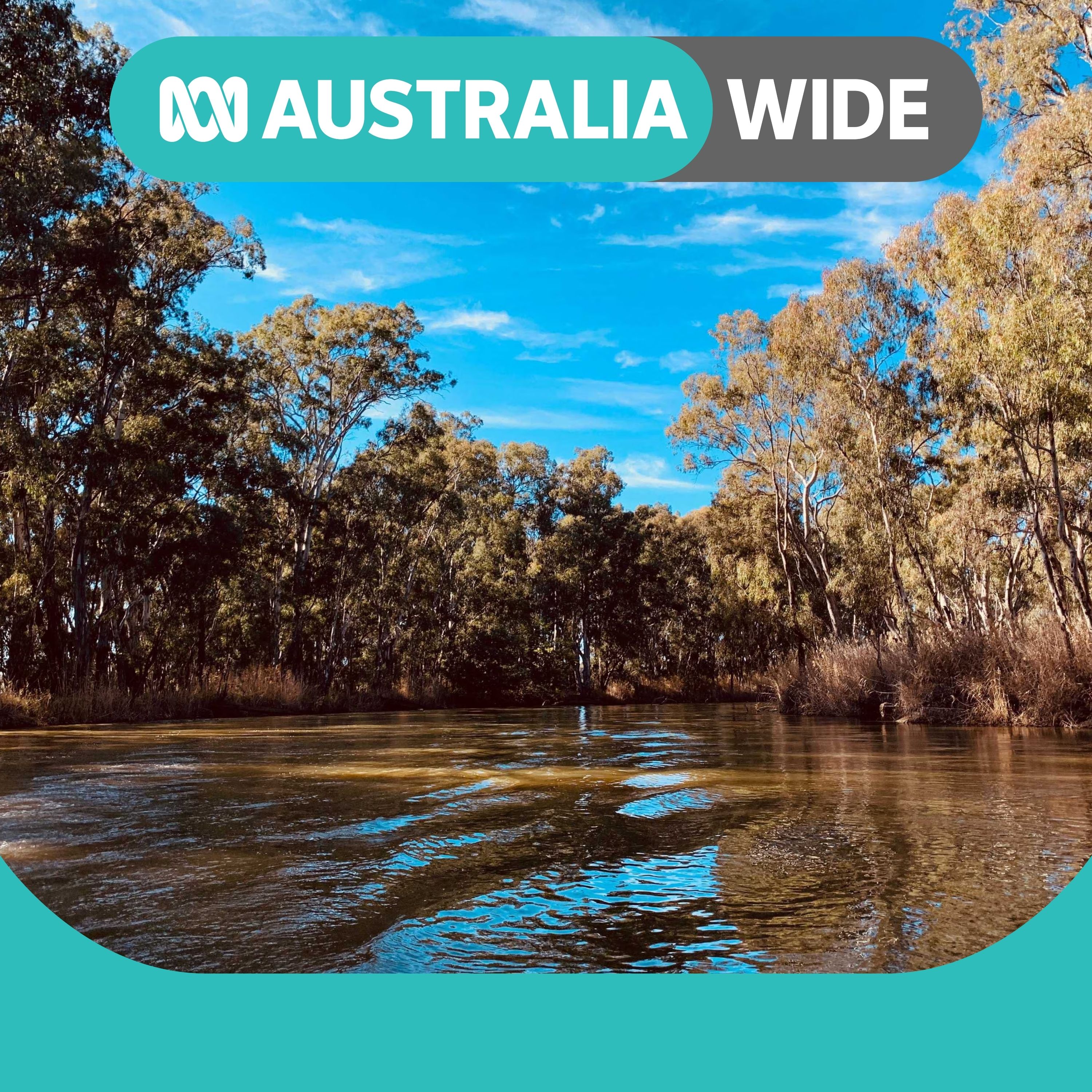 28,000 irrigators lose $1.5-billion Murray Darling class action