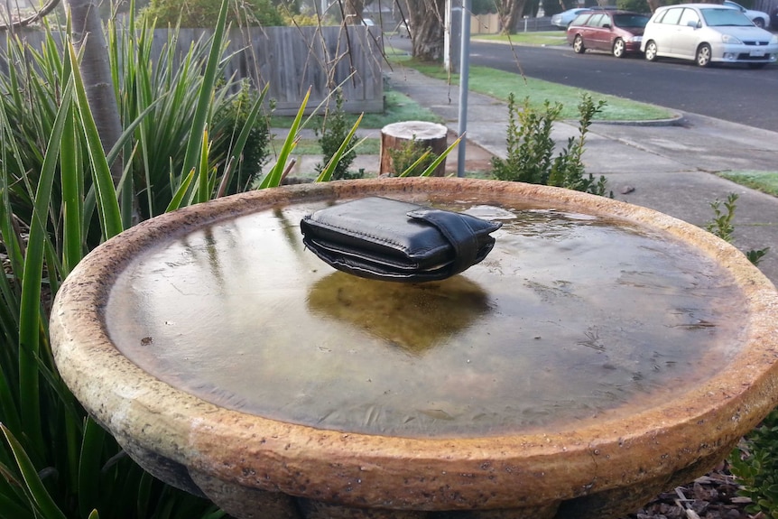 Bird bath freezes over in Croydon, Melbourne
