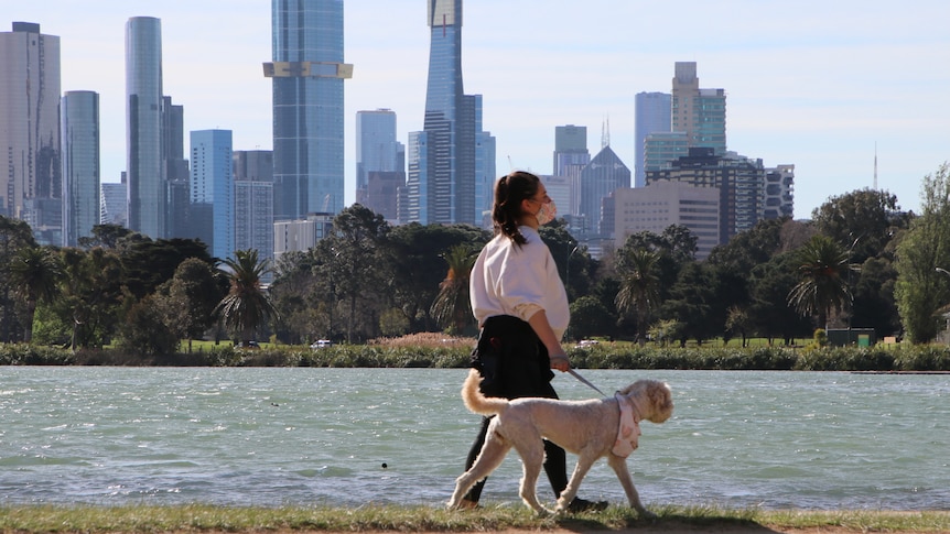 A woman walks her dog around Albert Park Lake.
