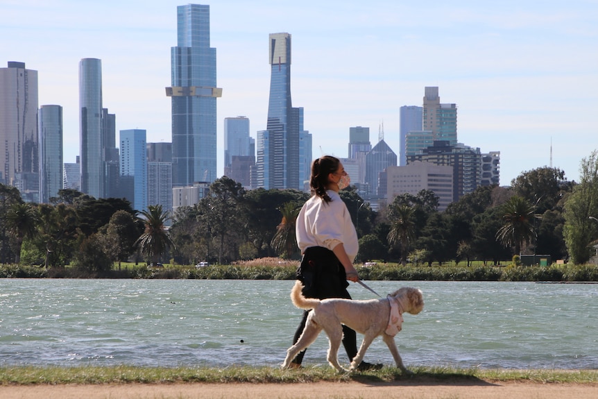 A woman walks her dog around Albert Park Lake.