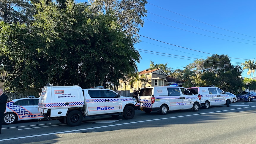 a long line of police cars parked on a suburban street