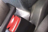 seatbelt buckle