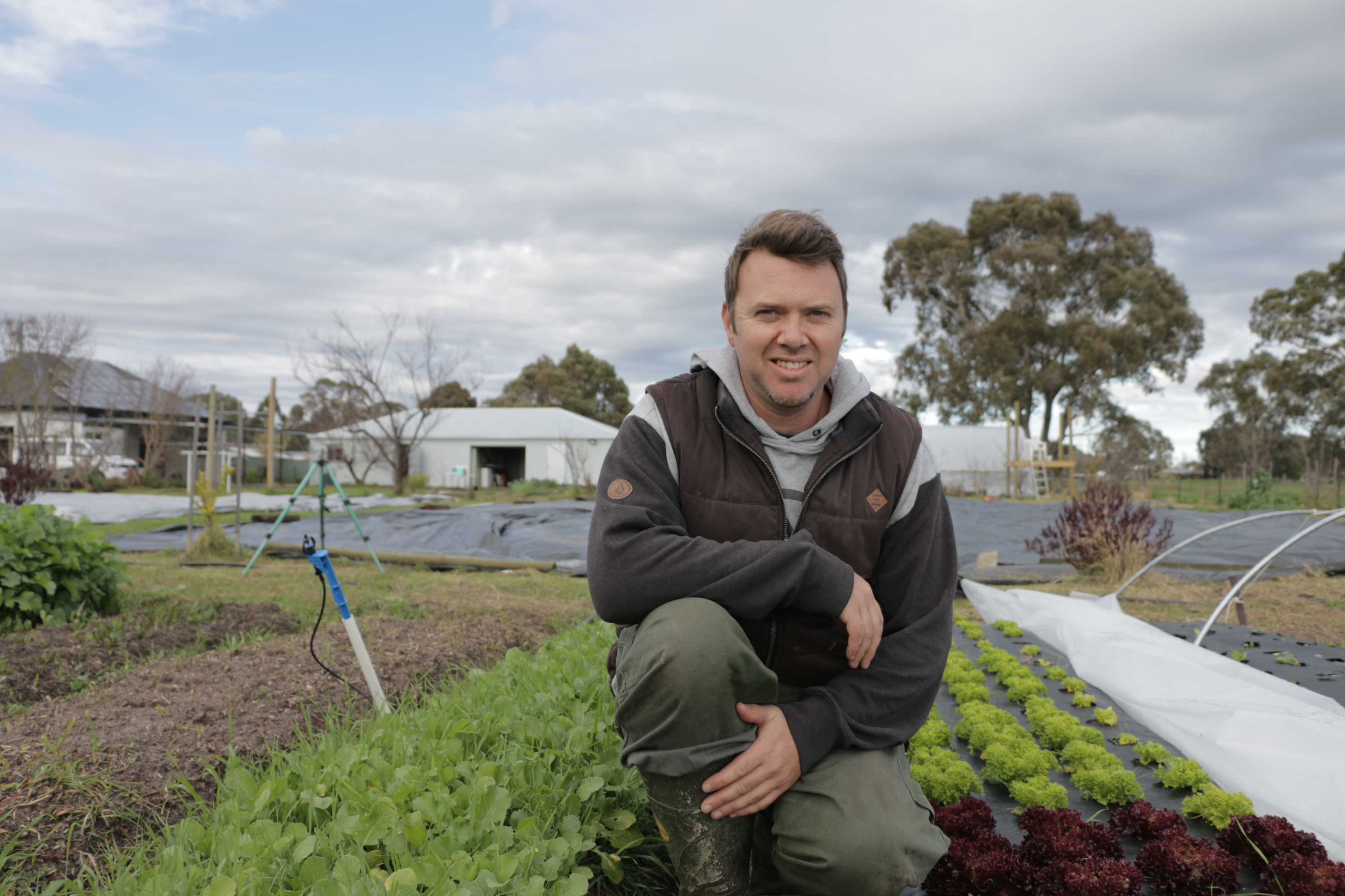 Urban vegetable farm takes off in sheep and cropping region in Victoria ...