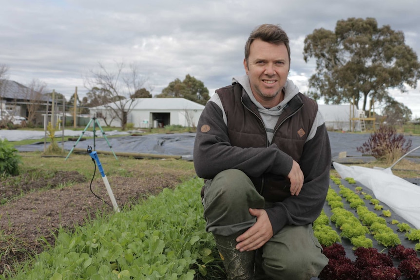 Farmer Lucas King squats next to his lettuces.