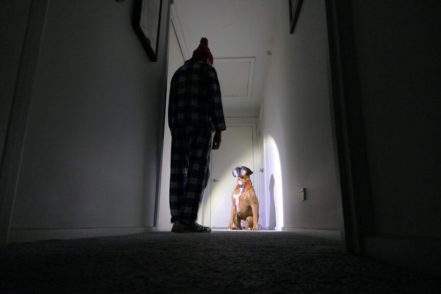 An unidentifiable man shines a torch on a dog in a hallway.