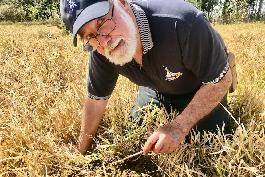 A man with a hat, gray beard and glasses kneels in a paddock using a stick to dissect a pile of dung.