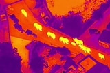 A thermal image shows the movement of 10 elephants.