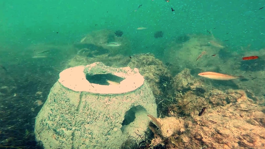 A reef ball in Jurien Bay