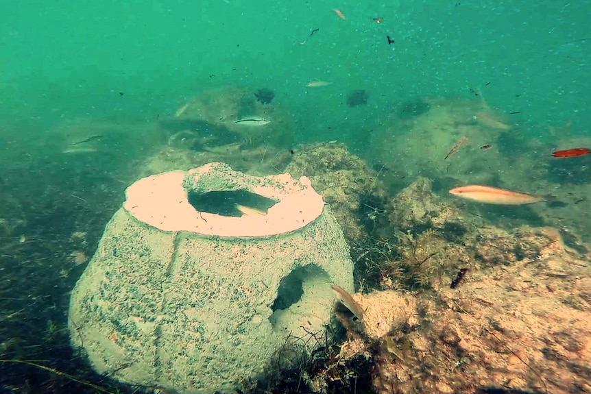 A reef ball in Jurien Bay