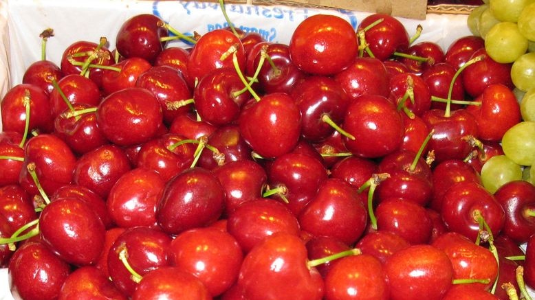 cherries