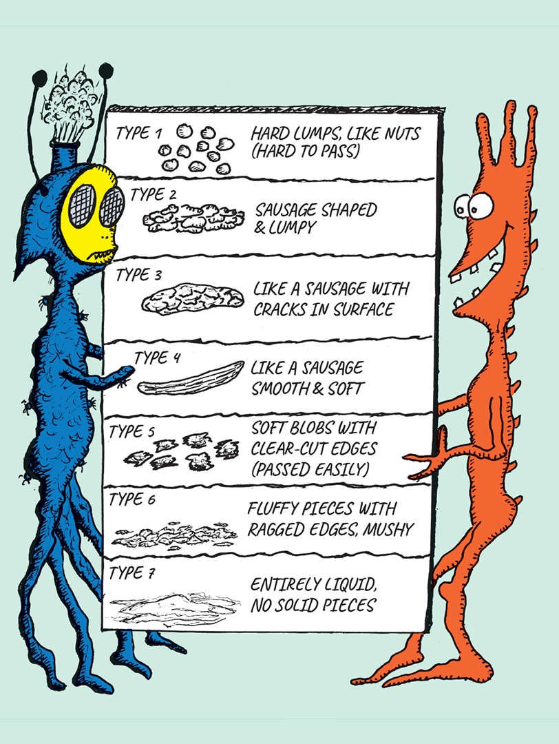 Two cartoon creatures hold a chart categorising human faeces into seven types, from hardest to softest.