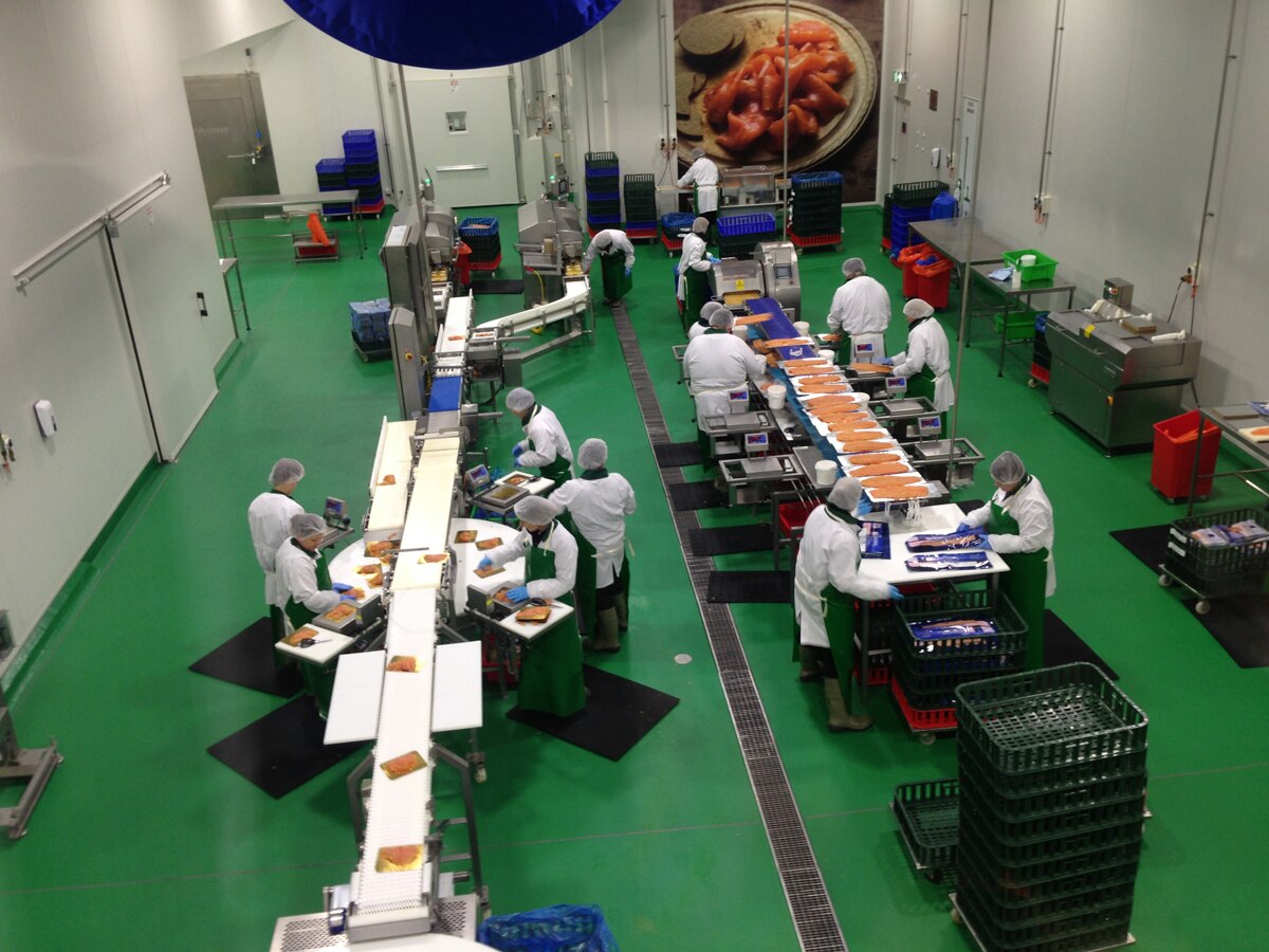 Huon Aquaculture's new processing plant a timely jobs boost for