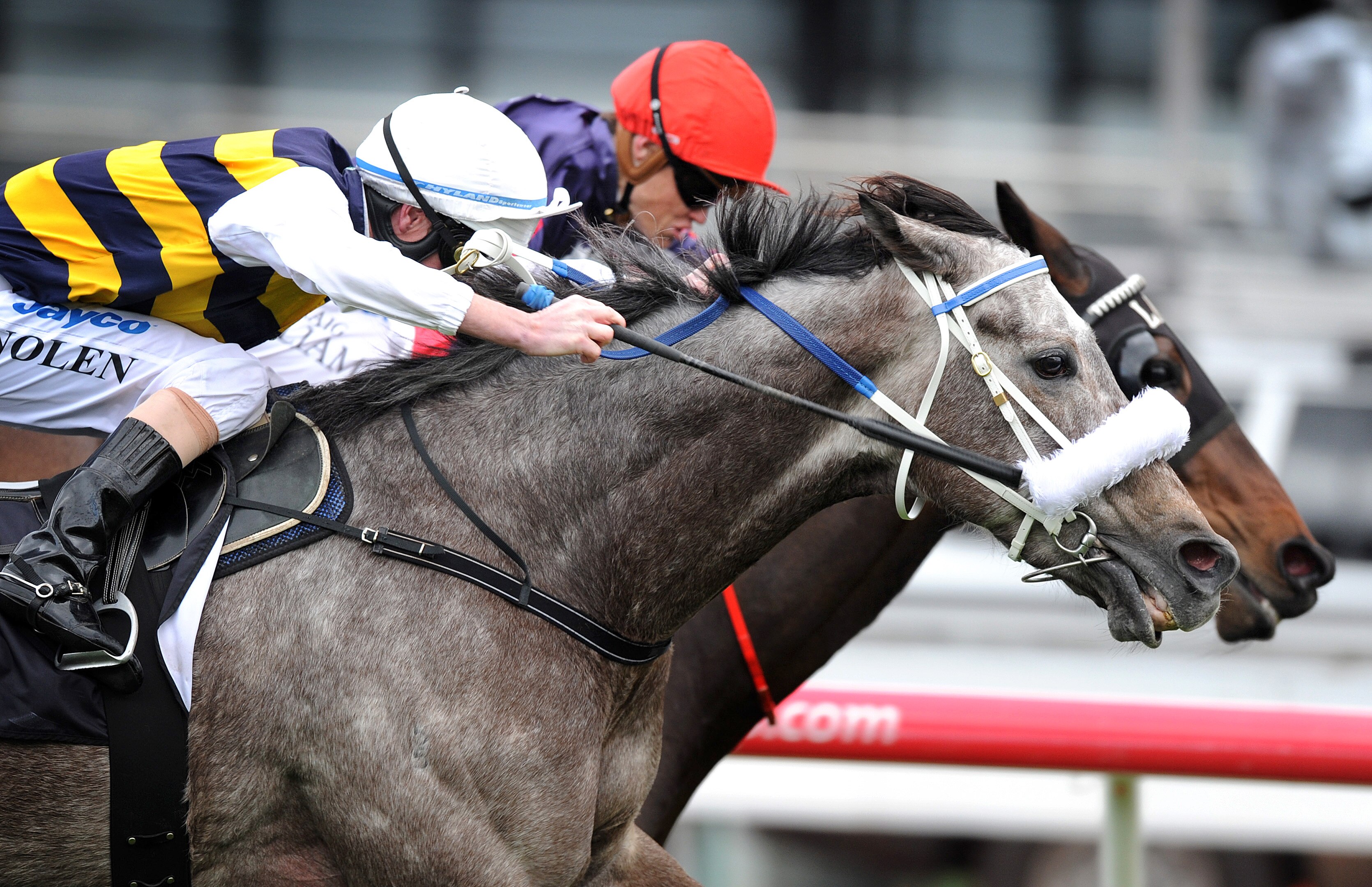 Boss picks up ride on Southern Speed - ABC News