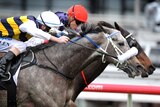 Southern Speed holds on to win Makybe Diva Stakes