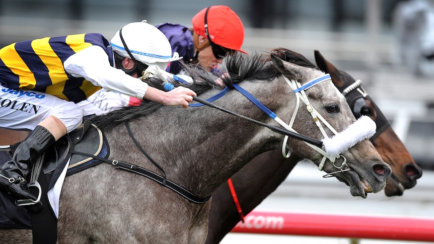 Southern Speed holds on to win the Makybe Diva Stakes earlier this month.