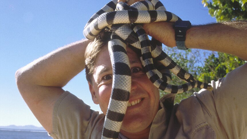 Steve Irwin with a snake. Date unknown.