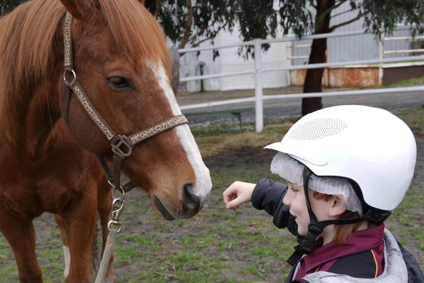 Photograph of a young boy with a riding helmet and a horse smelling his hand.