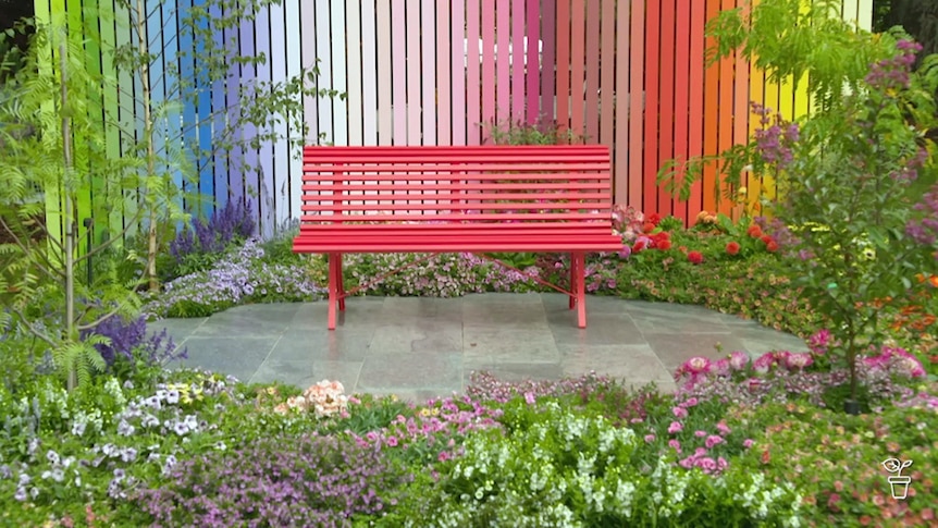 A bright pink seat in a garden with a rainbow coloured wall behind it.