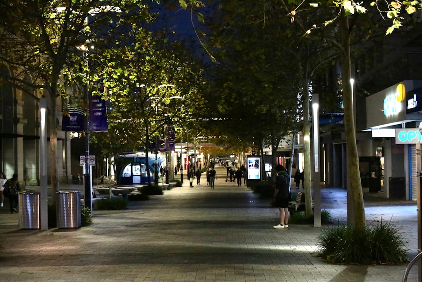 The Murray Street pedestrian mall in Perth city at night, with a canopy of trees and closed shops either side.