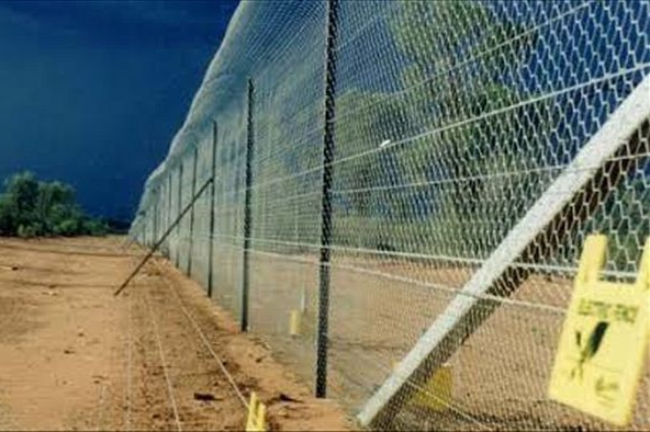 Bilby fence at Currawinya National Park