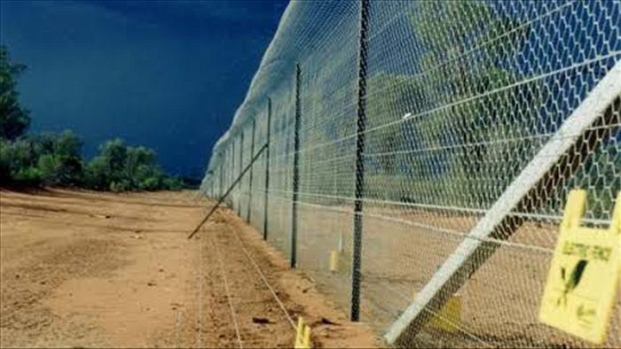 Bilby fence at Currawinya National Park