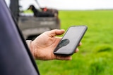 Farmer texting on phone, dog on a ute nearby