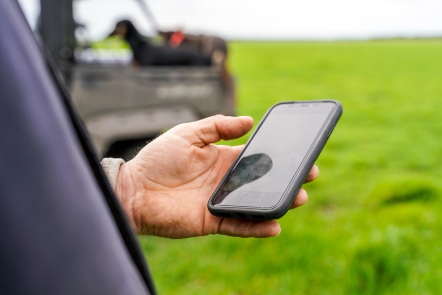 Farmer texting on phone, dog on a ute nearby