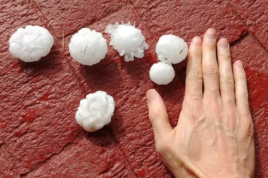 various hail stones including a clear, spiky hailstone as well as small, round and opaque hailstones