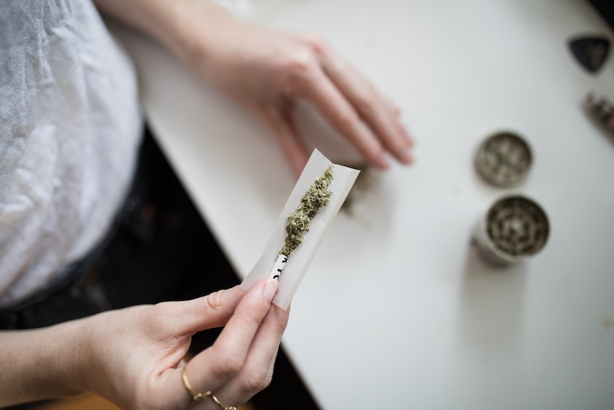 Anonymous woman's hands rolling a cannabis joint.