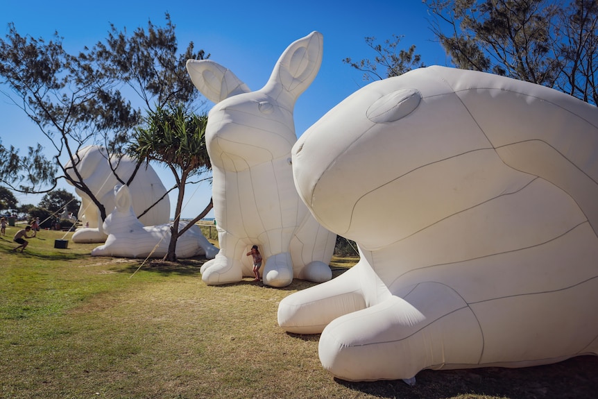 Large white sculptures of bunny rabbits on the foreshore