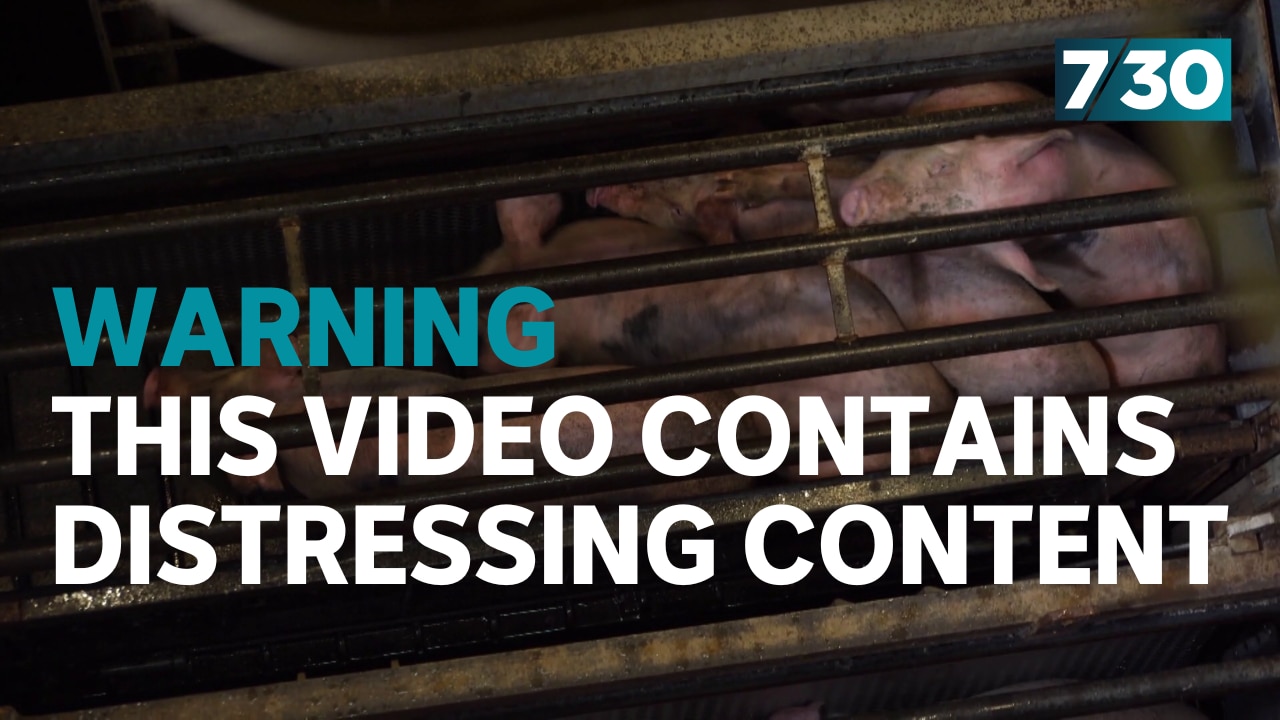 Play Video. Duration: 2 minutes 22 seconds