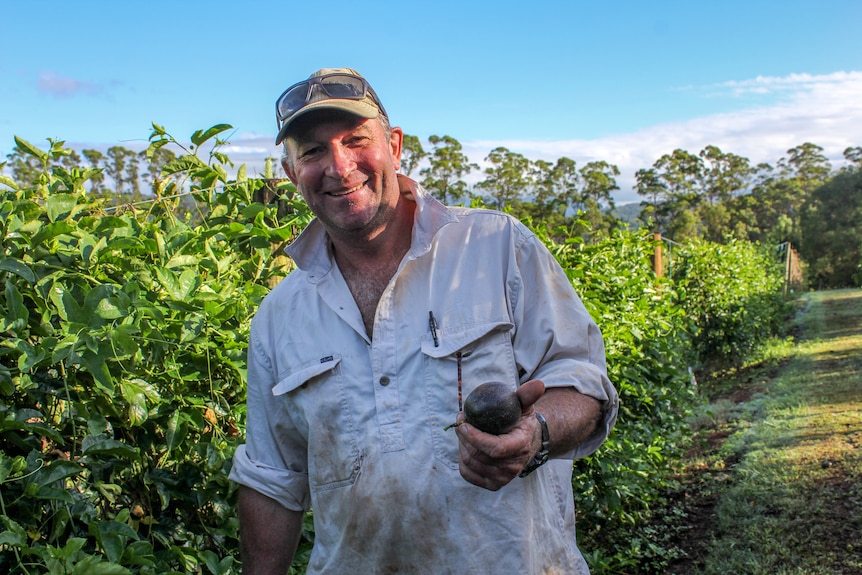 Farmer Tom Carey holds a passionfruit.