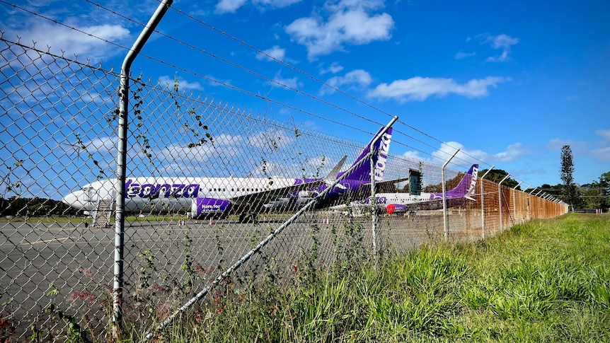 Two purple and white planes on a tarmac, seen through a chainlink fence.